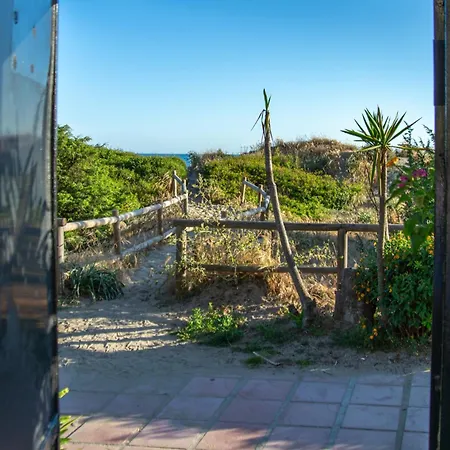 The Beachfront Gem *