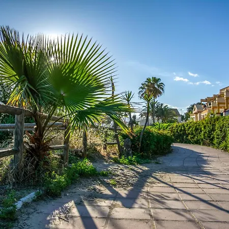 The Beachfront Gem Appartement
